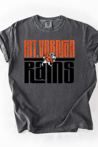 Schoolhouse Mascot Tee