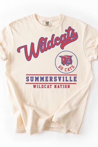 Wildcats Vintage Pride Tee